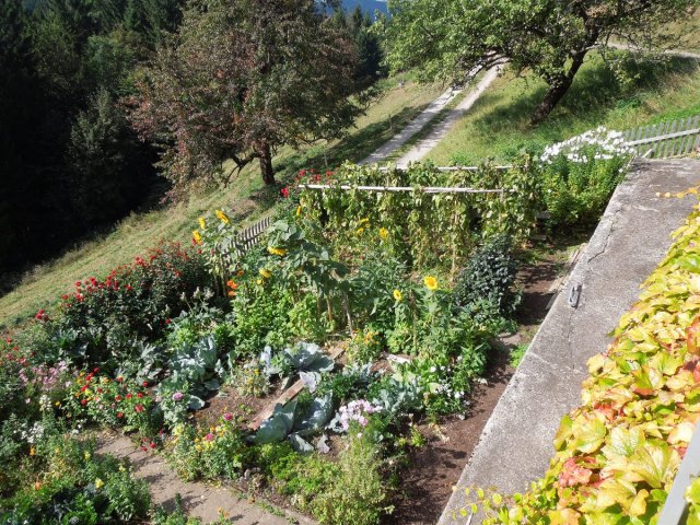 Garten
